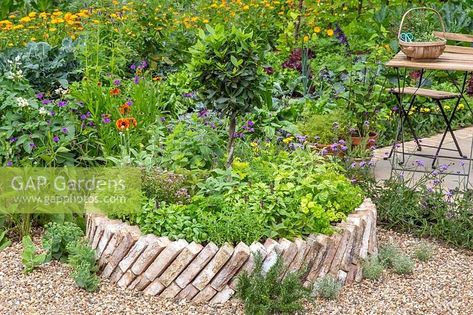 Circular raised brick bed with mixed herbs in vegetable garden Circle Raised Garden Beds, Circular Lawn, Stone Paths, Vege Garden, Brick Edging, Landscaping Trees, Vegetable Bed, Brick Garden, Flower Lamp