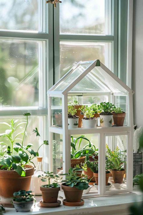 30 Greenhouse Ideas: Creative Designs for Your Home Garden Hult Prize, Greenhouse Cabinet, Beautiful Greenhouse, Outdoor Greenhouse, Greenhouse Ideas, Indoor Greenhouse, Home Greenhouse, Container Gardening Flowers, Backyard Greenhouse