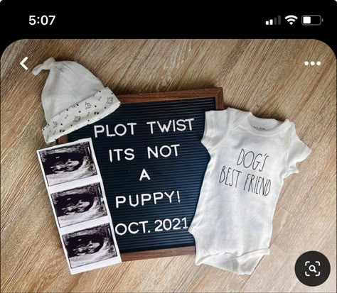 Unique Gender Reveal Ideas With Dogs, Baby Announcement To Friends In Person, First Baby Pregnancy Announcement, Dog Baby Announcing Ideas, Dog Announcement Pregnancy, Plot Twist Baby Announcement, Baby Reveal With Dog, Pet Baby Announcement, Pregnancy Announcement Ideas With Dog