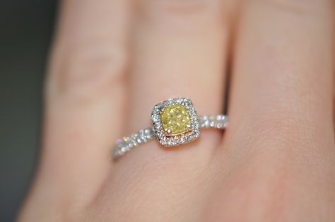 I am kinda digging this yellow diamond engagement ring! Engagement Rings Yellow, Square Cut Engagement Rings, Jewellery Wishlist, Coloured Diamonds, Square Diamond Rings, Sunflower Quilts, Yellow Diamond Engagement Ring, Pearl Engagement Ring, Yellow Diamonds