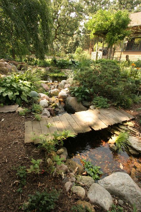 Garden With Stream, Sage Garden Ideas, House With Stream, Cottage Homestead, Stream Garden, Plank Bridge, Backyard Stream, Garden Stream, Taman Air