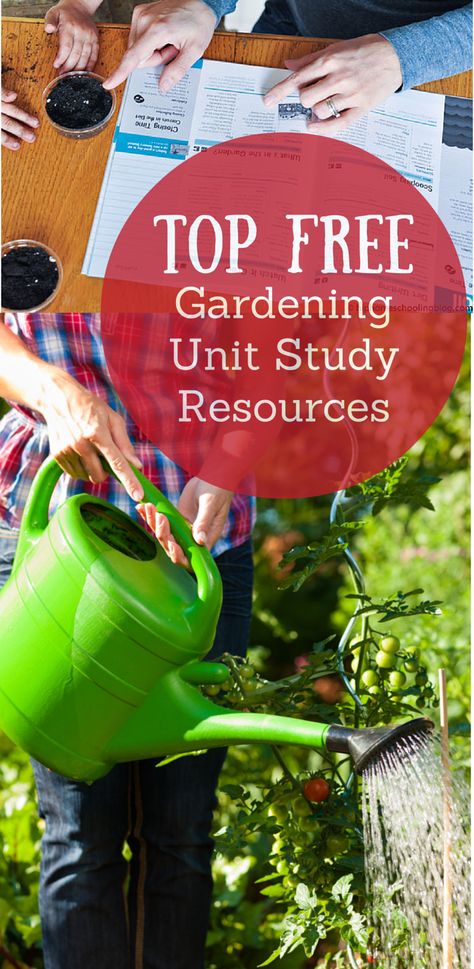 Homeschool Gardening, Homeschool Garden, Garden Unit Study, Bean Growing, Sustainable Education, School Garden Club, School Greenhouse, Learning Garden, Garden Unit