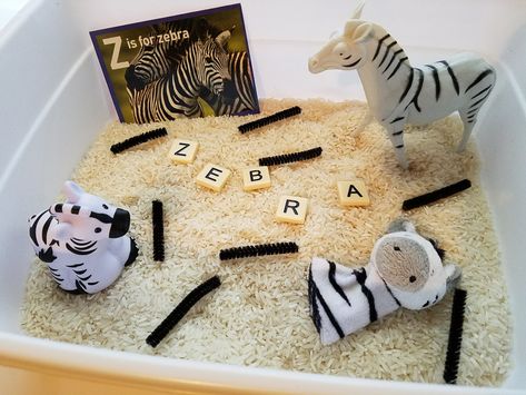 Zebra zoo theme sensory bin Zebra Sensory Bin, Zoo Sensory Bin, Preschool Zoo Theme, Dear Zoo, Zoo Theme, Finger Paints, Sensory Bags, Sensory Integration, Theme Activity