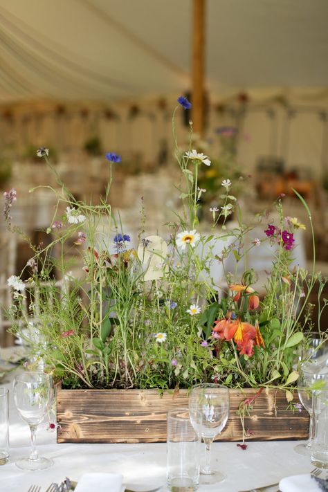 Planters with wildflowers! Would this look nice, or wilty? Oh man it would be SO EASY, and just DONE. Rustique Wedding, Centerpieces Rustic, Wildflower Centerpieces, Katie White, Colour Wedding, Bee Wedding, Food Events, Colourful Wedding, Flowers And Greenery