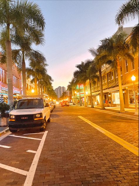 Downtown Fort Myers #florida #aesthetic #citylife #palmtrees #warm #downtown Downtown Fort Myers, Fort Myers Florida Aesthetic, Florida Kilos, 2024 Manifesting, Florida Aesthetic, Colleges In Florida, Florida Life, Life Vision, Life Vision Board