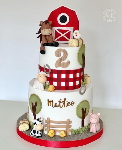 Simple Barnyard Birthday Cake, Petting Zoo Birthday Cake, Farm Theme First Birthday Cake, Three I E I O Cake, Farm Birthday Cake Ideas, Not My First Rodeo 2nd Birthday Cake, Birthday Cake Farm Theme, Farm Birthday Party For Boys, Farm Cake Ideas