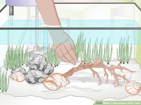 How to Decorate a Fish Tank: 15 Steps (with Pictures) - wikiHow Simple Fish Tank Ideas, Simple Fish Tank, Fish Tank Ideas, How To Decorate, Fish Tank, To Look, Fish, Animals