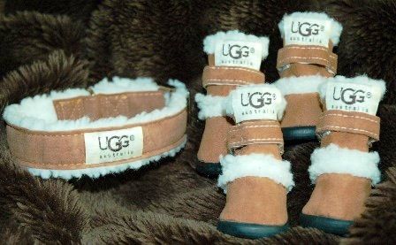 Puppy Uggs for Chloe! Yorkie Clothes, Dog Accesories, Ugg Booties, Luxury Dog Collars, Puppy Accessories, Dog Boots, Teacup Puppies, Dog Shoes, Outdoor Cats