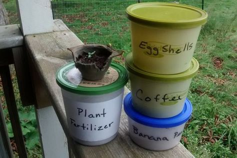 Make Your Own Organic Plant Fertilizer for FREE: 7 Steps (with Pictures) Organic Plant Fertilizer, Natural Plant Fertilizer, Plant Fertilizer, Natural Fertilizer, Backyard Vegetable Gardens, Organic Vegetable Garden, Coffee Plant, Fertilizer For Plants, Organic Gardening Tips