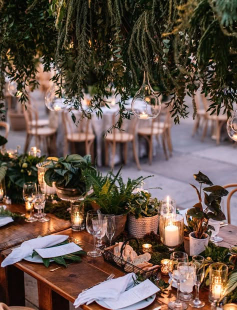 A Botanical Wedding in Philadelphia with Lush Plants + Magical Lighting - Green Wedding Shoes Botanical Wedding Decor, Lush Plants, Wedding Plants, Greenery Bouquet, Greenhouse Wedding, Magical Wedding, Botanical Wedding, Wedding Mood Board, Wedding Mood