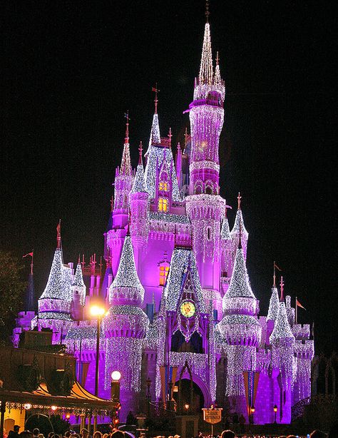 Cinderella's Castle at Night | Flickr Purple Board, Purple Lights, Cinderella Castle, Purple Reign, Purple Love, Disney Castle, All Things Purple, Purple Rain, The Castle