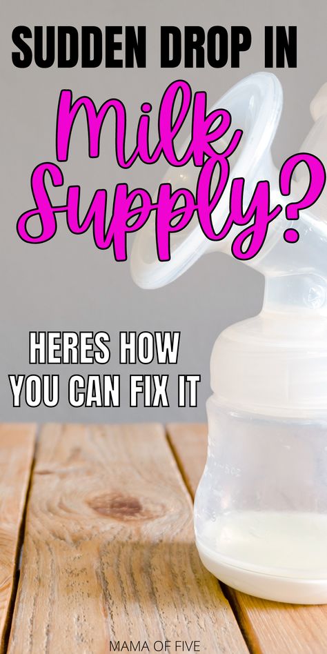 Are you noticing a sudden drop in milk supply? You can easily fix this problem. These simple tips will have you increasing your milk supply with ease. Natural Ways To Increase Milk Supply, How To Get Milk Supply Back Up, Improve Milk Supply, Milk Supply Decreasing, Up Milk Supply Fast, How To Increase Milk Supply, Snacks To Increase Breastmilk Supply, Breastfeeding Tips Milk Supply, Build Milk Supply