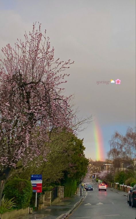 Spring Instagram Story, Spring Afternoon, Rainbow Springs, Spring Instagram, Spring School, Spring Inspo, Spring Blossoms, Spring Boards, Spring Girl