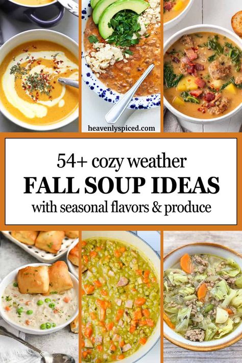 Fall soup ideas for every dietary preference and budget. Whether you're craving something creamy, light, hearty, brothy, vegan, veggie filled, or meaty, this list has you covered! Healthy weeknight recipes the whole family will love on a cold fall day. Fall Soup And Sandwich Ideas, Soup Ideas For Dinner, Fall Soup Ideas, Brothy Soup Recipes, Brothy Soup, Fall Board, Soup Ideas, Seasonal Vegetables, Weeknight Recipes