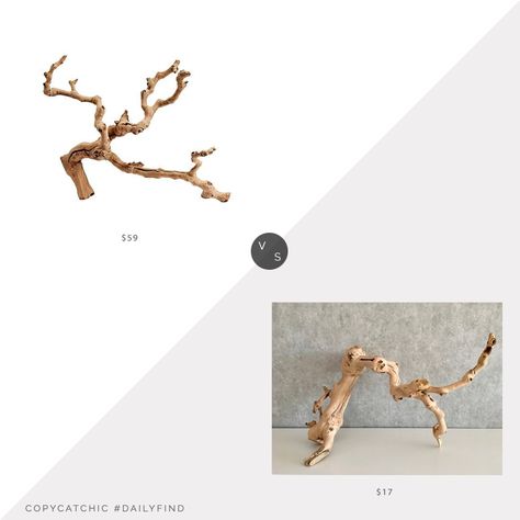 Daily Find | Pottery Barn Dried Grapewood Branch Grapewood Branch, Coastal Modern Farmhouse, Budget Home Decor, Coastal Modern, Dining Table Centerpiece, Organic Wood, Budget Home, Room Redo, Home Trends