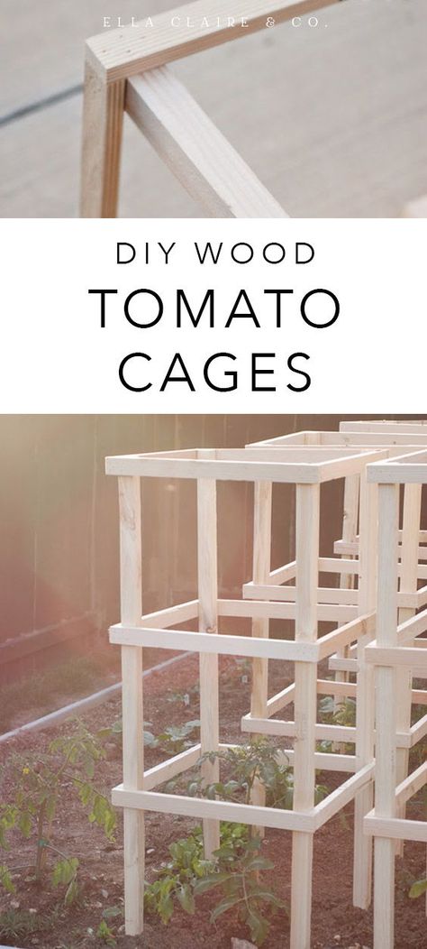 Tomatoe Cages Ideas Diy, Tomato Cages Diy, Diy Tomato Cage, Plant Cages, Tomato Trellis, Garden Boxes Diy, Garden Tomatoes, Coop Ideas, Future Garden