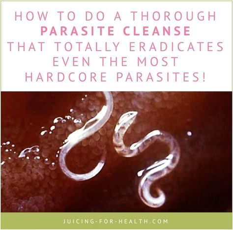 Parasite Cleanse - How To Completely Kill 100+ Types of Parasite Parasite Cleanse Diet, Body Detox Cleanse, Parasite Cleanse, Health Cleanse, Full Body Detox, Cleanse Diet, Natural Detox Drinks, Detox Drinks Recipes, Be The Reason