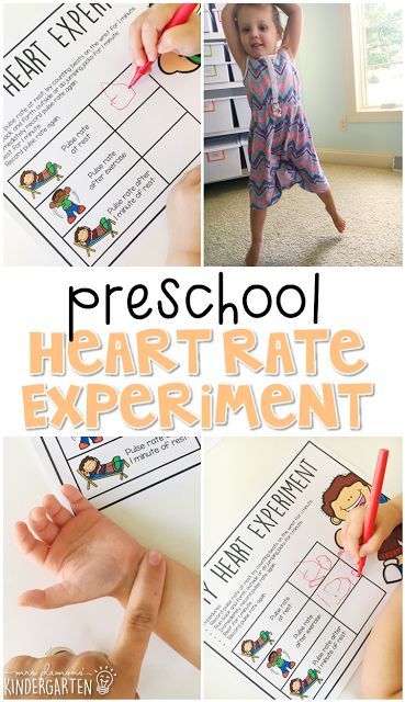 This heart rate experiment is a great way to learn about how our heart works. Great for a human body theme in tot school, preschool, or even kindergarten! Monkey Jumping On The Bed, Monkey Jumping, Human Body Lesson, Heart Lesson, Creative Curriculum Preschool, Human Body Science, Body Preschool, Human Body Activities, Jumping On The Bed