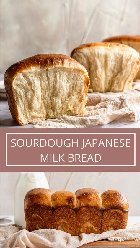 sourdough japanese milk bread Sour Dough Recipe Ideas, Sourdough Discard Milk Bread, Milk And Honey Sourdough Bread, Tangzhong Sourdough Bread, Japanese Sourdough Milk Bread, Soft And Fluffy Sourdough Bread, Sourdough Tangzhong Bread, Sourdough Milk Bread Recipe, Light And Fluffy Sourdough Bread