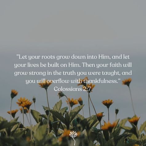 Being rooted in God is the SAFEST place you could ever be. He is UNSHAKABLE, INFALLIBLE, INDESTRUCTIBLE. The never failing God is the strongest root to grow in. Deeply Rooted Quotes, Rooted In Christ, Yoga Class, Yoga Inspiration, God Is, Self Development, To Grow, Encouragement, Yoga