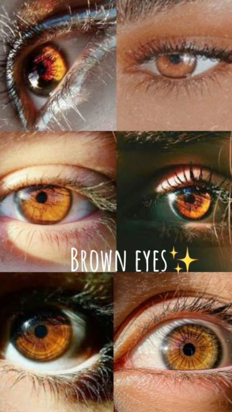 #bueatiful #eyes Amber Eyes In The Sun, Honey Eyes Aesthetic, Types Of Brown Eyes, Honey Brown Eyes Aesthetic, Light Brown Eyes Aesthetic, Cognac Eyes, Brown Eyes In Sunlight, Brown Eyes In The Sun, Amber Brown Eyes