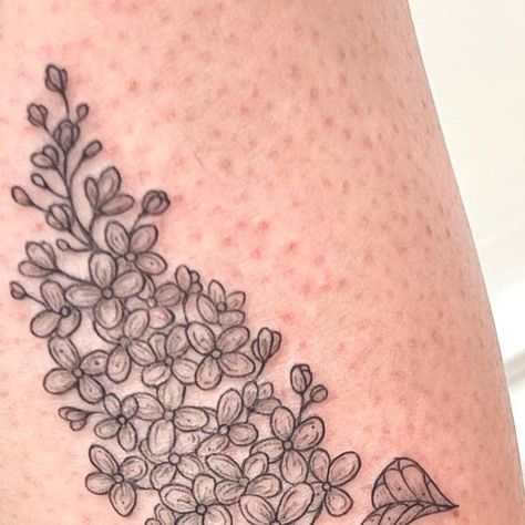 Wildflowers | Fine Line Tattoo on Instagram: "Lilac 💜🪻💜 #lilacflowers #finelinetattoo #botanicalillustration #floraltattoo #vintageillustration #torontotattoo #queerartist #qttr #springflowers #gardenflowers" Lilac Tattoo Design, Lilac Illustration, Wildflowers Tattoo, Lilac Tattoo, Tattooed Girls, Sister Tattoo, Fine Line Tattoo, Line Tattoo, Lotus Tattoo