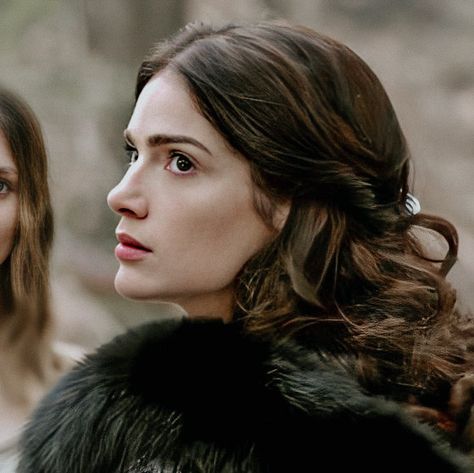 Mary And Catherine Reign, Baratheon Aesthetic, Asoiaf Oc, Janet Montgomery Salem, Jorah Mormont Daenerys Targaryen, Mary Sibley, Janet Montgomery, Medieval Face Claims Gif, Adelaide Kane Gif Reign