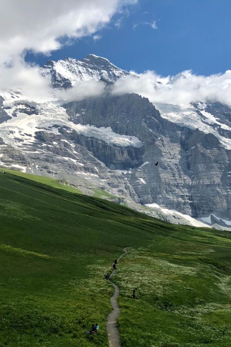 Green Field Viewing Mountain Under Blue and White Skies Green Land, Green Field, White Sky, Snow Mountain, Beautiful Locations Nature, Snowy Mountains, Landscape Ideas, Blue And Green, Book Covers