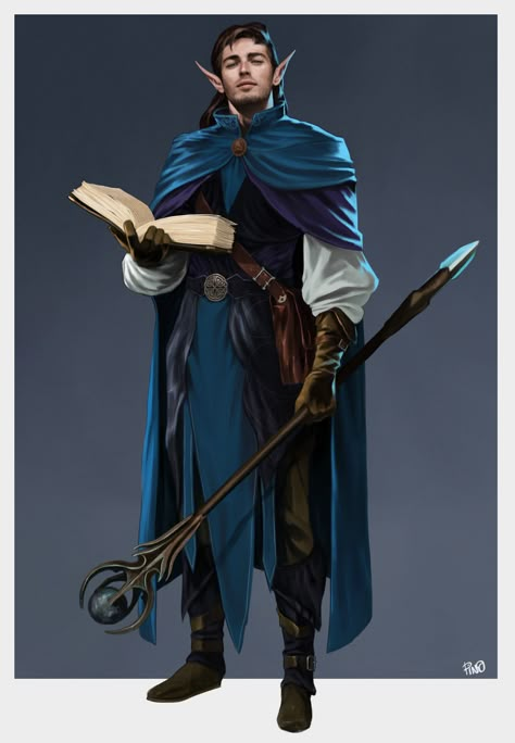 Order Of The Scribes Wizard, Fantasy Npc Art, D&d Sorcerer, Elf Wizard Male, Wizard Dnd Character Design, Wizard Character Art, D&d Npc, Mage Concept Art, Wizard Dnd