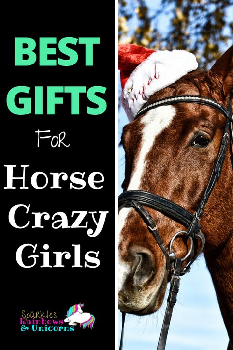 Find the perfect gifts for that horse crazy girl in your life. From toys to games to clothes to decor. I have listed my favorites! Amazon Gift Guide, Horse Crazy Girl, Riding Exercises, Blog On Pinterest, Horseback Riding Tips, Show Jumping Horses, Cowboy Gifts, Horse Riding Tips, Riding Tips