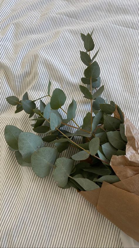 Eucalyptus Aesthetic, Aesthetic Bouquet, Salon Aesthetic, Inspiration Pics, 2024 Goals, Crystal Altar, Organic Aesthetic, Dirty Martini, Skincare Brand