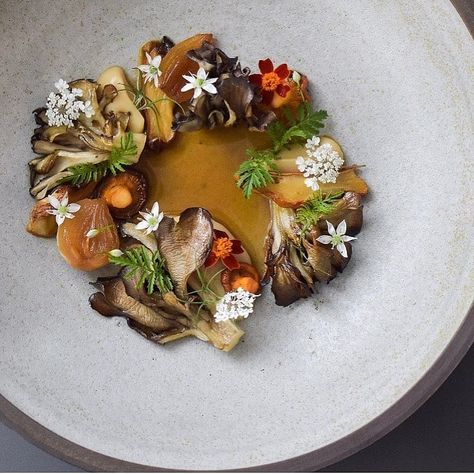 Culinary and Fine Dining on Instagram: “💥Mushrooms 💥By Chef: @seanymacd 📸Picture by: @benehrensperger 🏠Restaurant: @est.restaurant 🔥Follow: 🔥@the_food_obsessions 🔥@seanymacd…” Molecular Food, Fine Dining Plating, Mushroom Dish, Vegan Menu, Fine Dining Recipes, London Food, Food Goals, Fine Dining Restaurant, Vegetarian Dinner