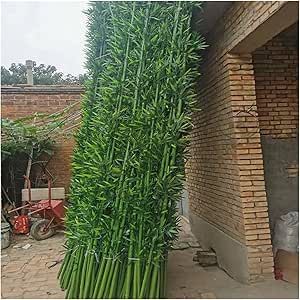 Diy Decor Outdoor, Bamboo Plant Decor, Fence Privacy Screen, Bamboo Roof, Fence Privacy, Privacy Landscaping, Tree Garden, Fake Trees, Backyard Remodel