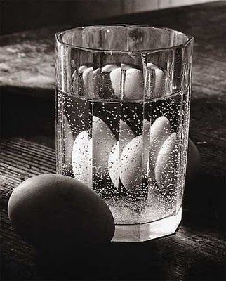 Untitled (still life) (1940-54) by Czech photographer Josef Sudek (1896-1976). via Pbase Josef Sudek, Andre Kertesz, Study Photography, Still Life Photos, History Of Photography, Art Sites, Compass Rose, Ansel Adams, Foto Art