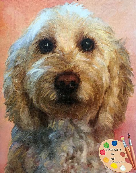 Labradoodles - a cross between a Labrador Retriever and a Toy  Portraits-by-NC.com Poodle #Labradoodle #pets #dogs #portrait Painting Layout, Labradoodle Dog, Oil Portraits, Different Photos, Labradoodle Dogs, Holland Lop, Background Ideas, Oil Portrait, Painting Gallery