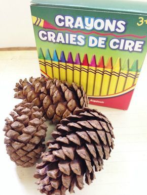 DIY Pine Cone Fire Starter Supplies Starters Ideas, Pine Cone Fire Starters, Diy Candles With Crayons, Homemade Fire Starters, Pinecone Fire Starters, Watermelon Candle, Camping Fire Starters, Fire Starters Diy, Diy Outdoor Fireplace