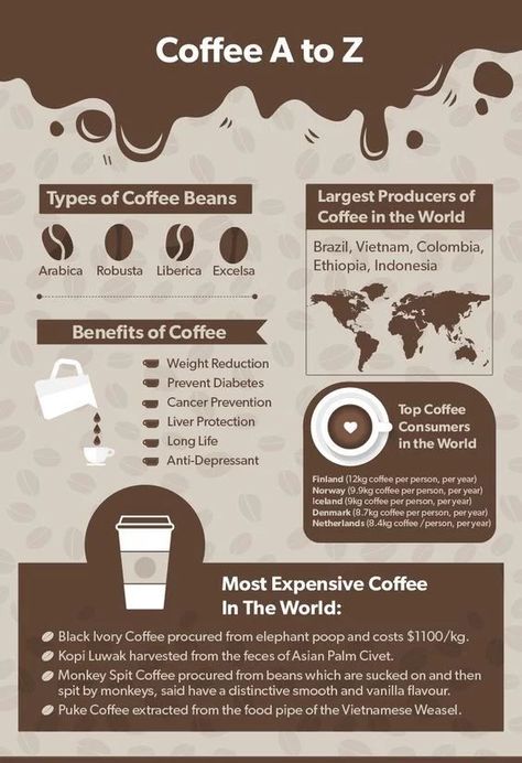 Cappuccino Photography, Coffee Nutrition Facts, Health Benefits Of Coffee, Espresso Love, Benefits Of Coffee, Types Of Coffee Beans, Coffee Health, Coffee Infographic, Coffee Facts