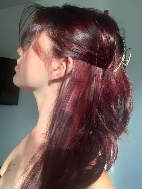 Maroon Dyed Hair, Subtle Hair Dye Ideas Brunettes, Rusty Red Hair, Red Hair Dye Ideas, Wine Hair Color, Wine Hair, Red Hair Inspo, Cherry Hair, Hair Inspiration Long