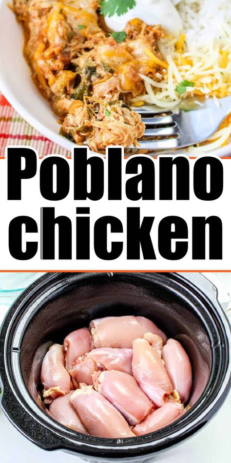 Creamy chicken poblano in slow cooker recipe with chicken thighs is great. Make spicy or mild, cheesy Mexican shredded chicken. Creamy Shredded Chicken, Recipe With Chicken Thighs, Creamy Chicken Poblano, Chicken And Cream Cheese, Chicken Poblano, Poblano Chicken, Poblano Peppers Recipes, Crockpot Chicken Thighs, Recipe With Chicken