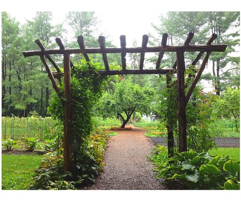 Garden Arch Ideas, Garden Path Ideas, Rustic Arbor, Pocket Garden, Arch Ideas, Gravel Stones, Walkways Paths, Benefits Of Gardening, Path Ideas