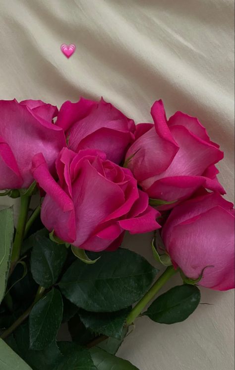 Luxury Flower Bouquets, Fancy Flowers, Beautiful Flowers Photography, Hot Pink Roses, Boquette Flowers, Nothing But Flowers, Flowers Bouquet Gift, Wallpaper Nature Flowers, Flower Therapy