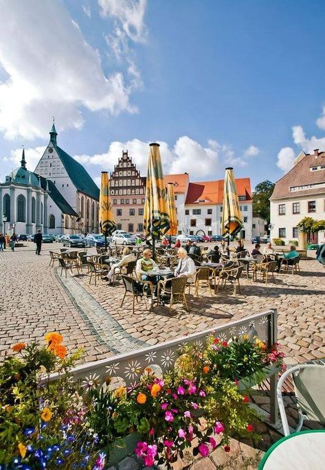 European Buildings, South Germany, Cardinal Point, Cities In Germany, Old Town Alexandria, Forest City, Scenic Photography, Small Shops, The Cathedral