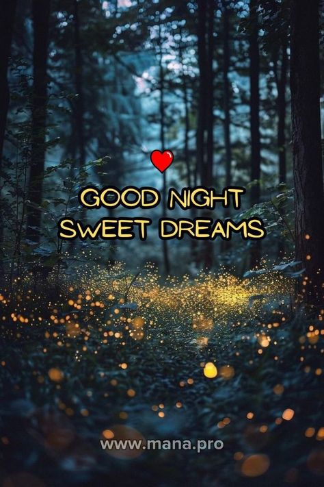 Good Night Nature, Good Night Sweet Dreams Images, Sweet Dreams Messages, Sweet Dreams Good Night, Dreams Images, Good Night Meme, Sweet Dream Quotes, Sweet Dreams Images, Happy Thursday Images