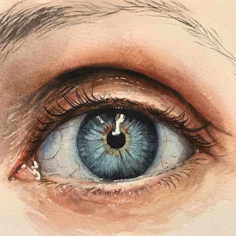 Emily Olson on Instagram: “Super closeup. This painting is 5x7” watercolor on Fabriano Artistico 140lb cold pressed cotton paper. #watercoloreye #eyepainting…” Colour Pictures, Watercolor Eyes, White Nights, Eye Drawing Tutorials, Watercolour Inspiration, Eye Painting, Landscape Drawings, Watercolour Tutorials, Anatomy Art