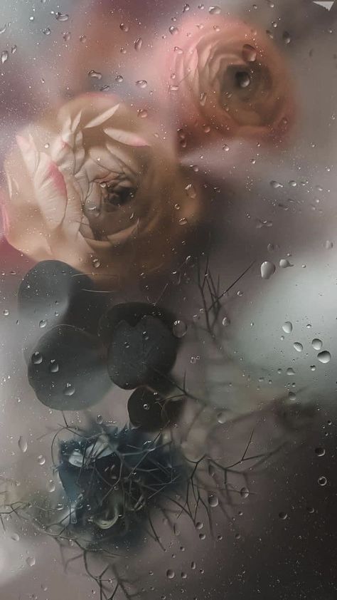 Flowers Behind Glass Wallpaper, Rose In Rain, Rose Iphone Wallpaper, Blurred Wallpaper, Blurred Photos, Pfp Wallpapers, Titusville Florida, Wet Flowers, Rainy Wallpaper