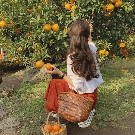 Era Victoria, Cottage Core Aesthetic, Orange Tree, Retro Mode, Korean Aesthetic, Cottagecore Aesthetic, Spring Aesthetic, + Core + Aesthetic, 가을 패션