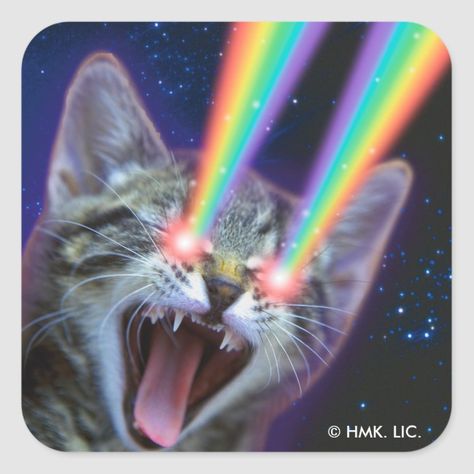 Rainbow Laser Cat Square Sticker #Hallmark #Zazzle Trippy Cat, Galaxy Cat, Silly Cats Pictures, Cat Pose, Rainbow Cat, New Cat, Cat Mouse, Scene Kids, Art Deco Posters