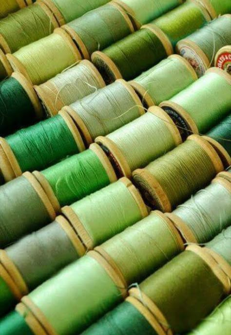 Hnin (Snow) loves greens Spools Of Thread, Rainbow Aesthetic, Simple Green, Aesthetic Colors, Colour Board, Green Wallpaper, Color Of The Year, Green Aesthetic, Pantone Color