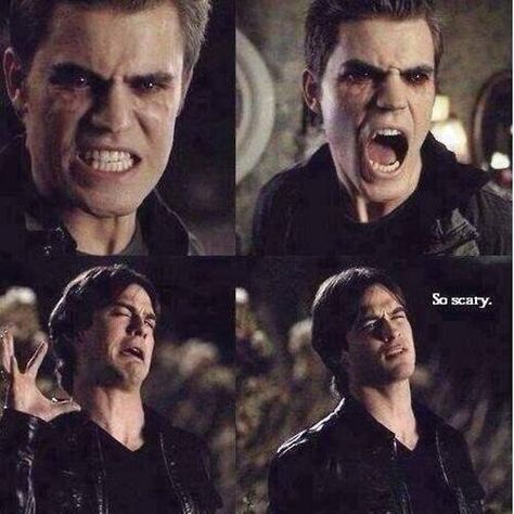 Damon's face Werewolf Witch, Stefan Damon, The Salvatore Brothers, Vampire Diaries Memes, Ian Joseph Somerhalder, Vampier Diaries, The Vampire Diaries 3, Damon And Stefan, Vampire Diaries Stefan