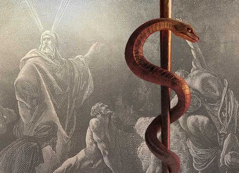 What did the bronze serpent mean? JAN SHRADER leads us to the answer in this devotional. #preachitteachit Jesus Pfp, Bronze Serpent, God In Heaven, Ministry Leadership, The Resurrection Of Jesus, Romans 3 23, Biblical Hebrew, Righteousness Of God, Whatever Is True